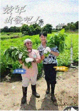 h网站在线观看 极限挑战